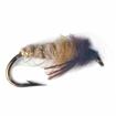 caddis peeking